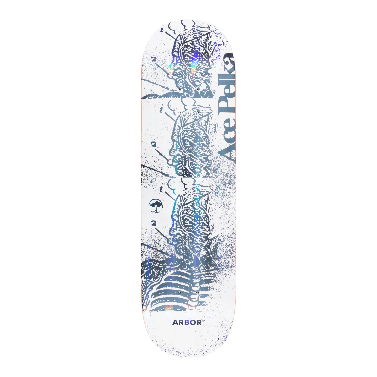 Arbor Ace Pelka Anatomy 8.75" Skateboard Deck - Skateboard - Decks