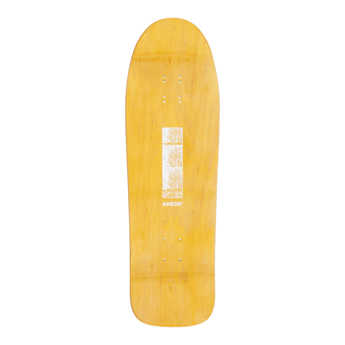 Arbor Ace Pelka Anatomy 9.75" Skateboard Deck - Skateboard - Decks