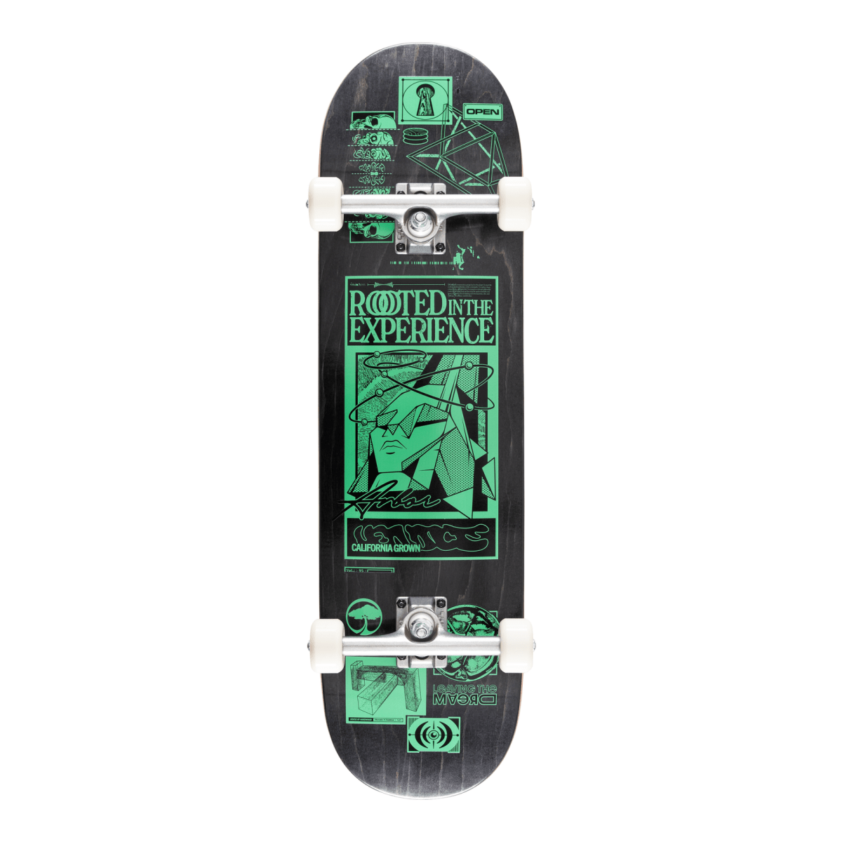 Arbor Street Complete Rooted in the Experience 8.5" - Skateboard - Completes