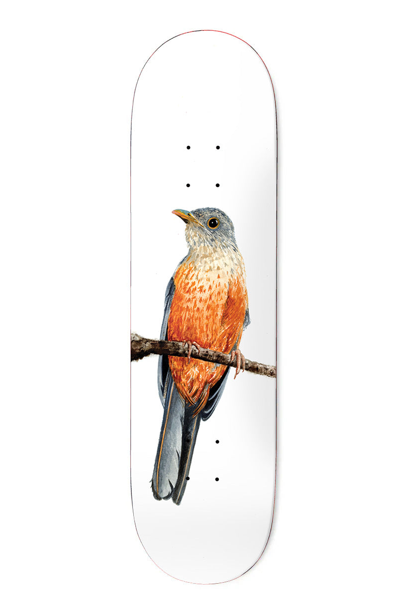 Deathwish Yuri Facchini 8.125" Laranjeira Skateboard Deck