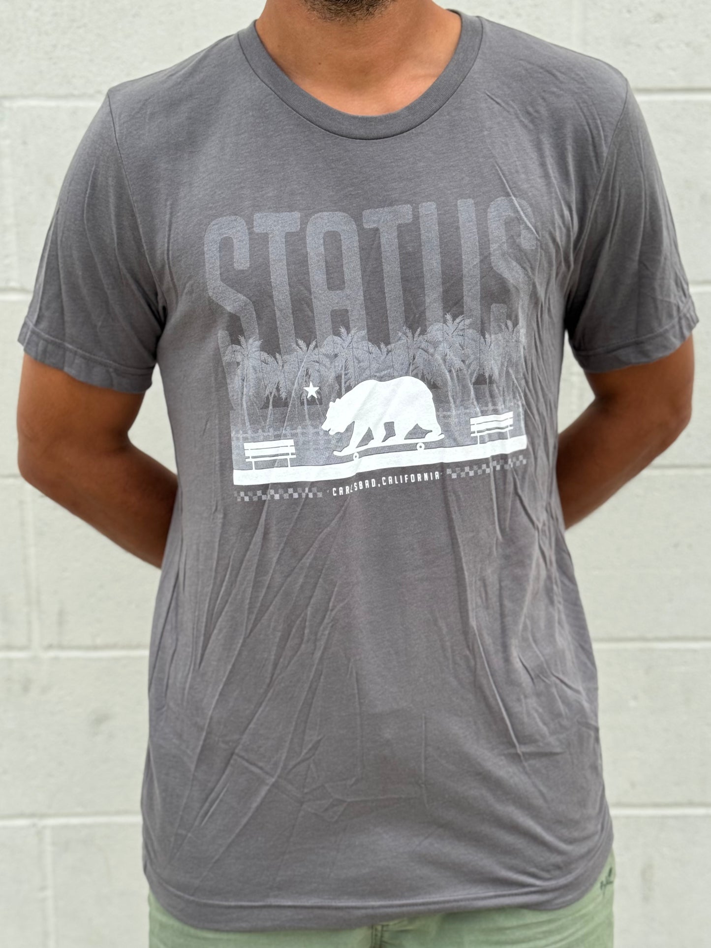 Status Boardwalk Tee Asphalt