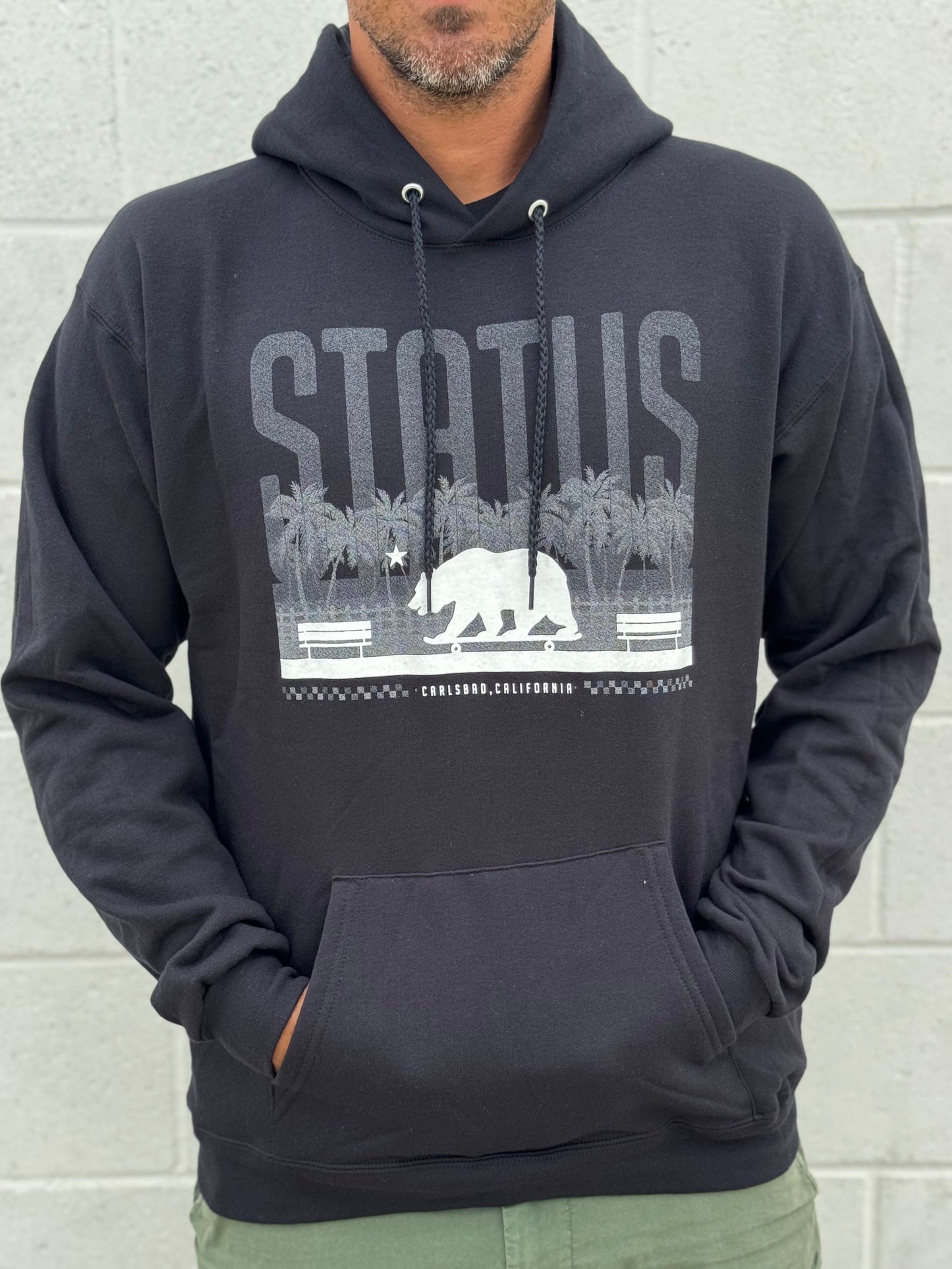 Status Boardwalk Hoodie Black