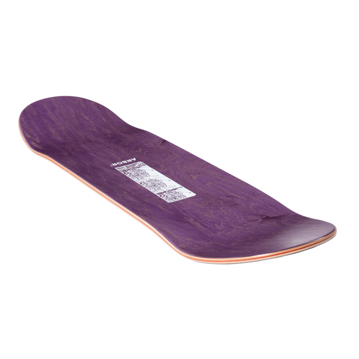 Arbor Ace Pelka Anatomy 8.5" Skateboard Deck - Skateboard - Decks