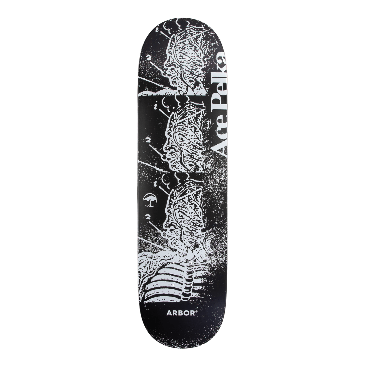 Arbor Ace Pelka Anatomy 8.5" Skateboard Deck - Skateboard - Decks