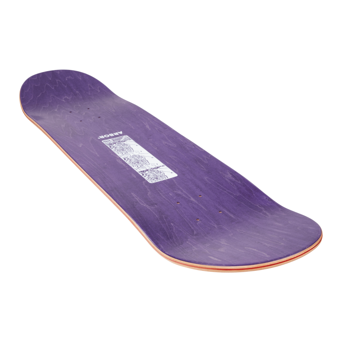 Arbor Ace Pelka Anatomy 8.75" Skateboard Deck - Skateboard - Decks