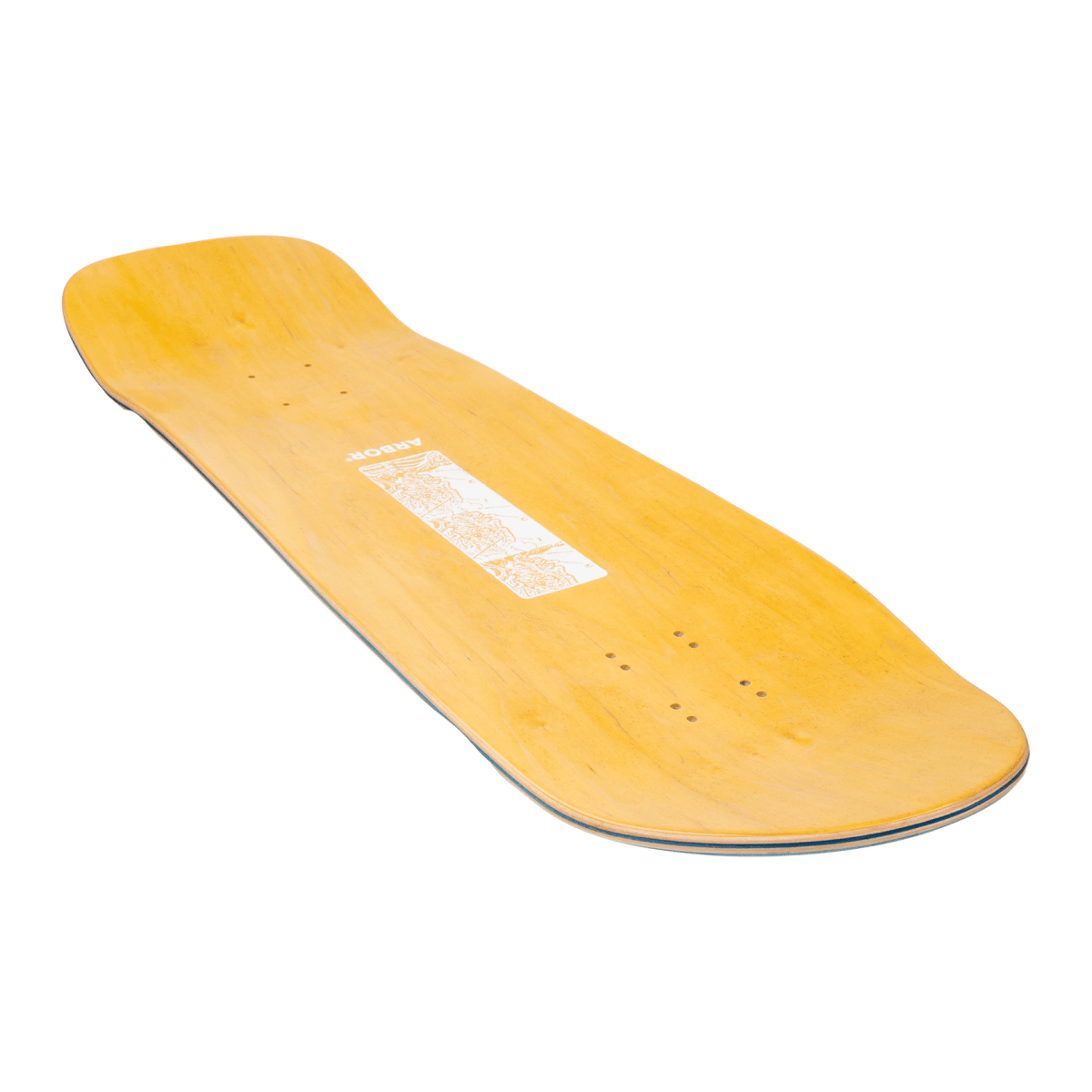 Arbor Ace Pelka Anatomy 9.75" Skateboard Deck - Skateboard - Decks