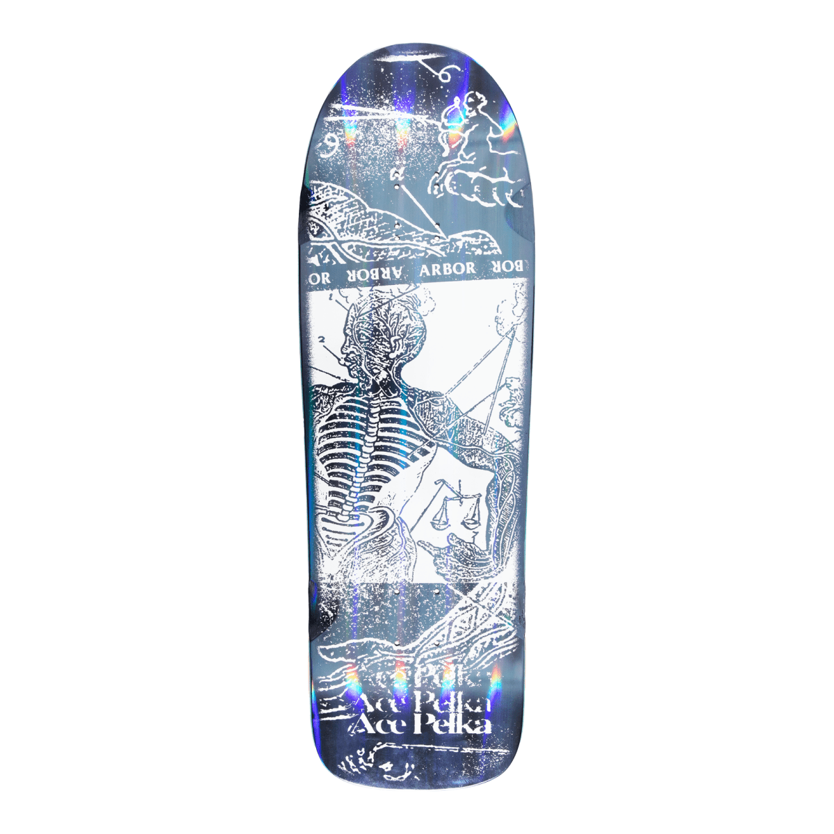 Arbor Ace Pelka Anatomy 9.75" Skateboard Deck - Skateboard - Decks