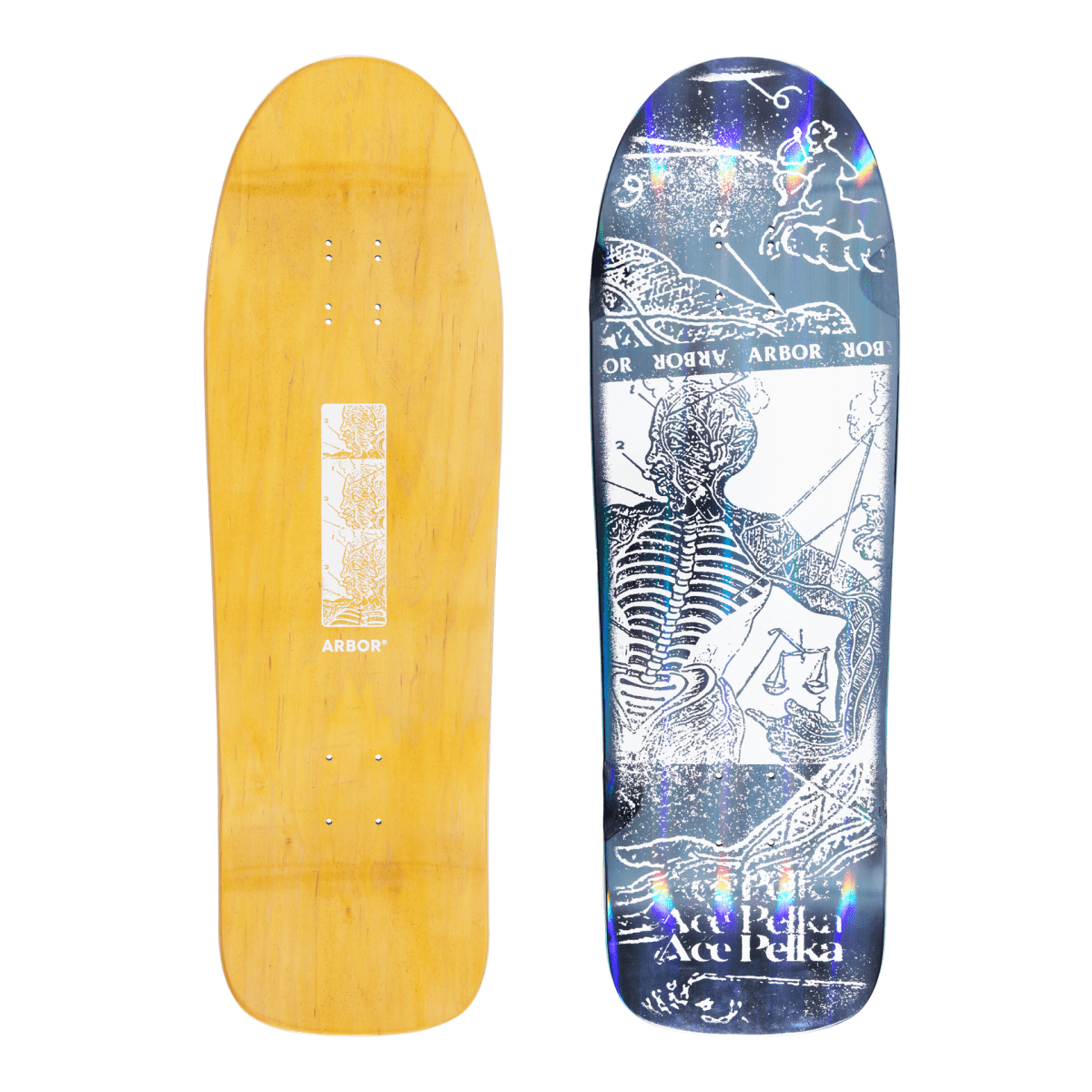 Arbor Ace Pelka Anatomy 9.75" Skateboard Deck - Skateboard - Decks