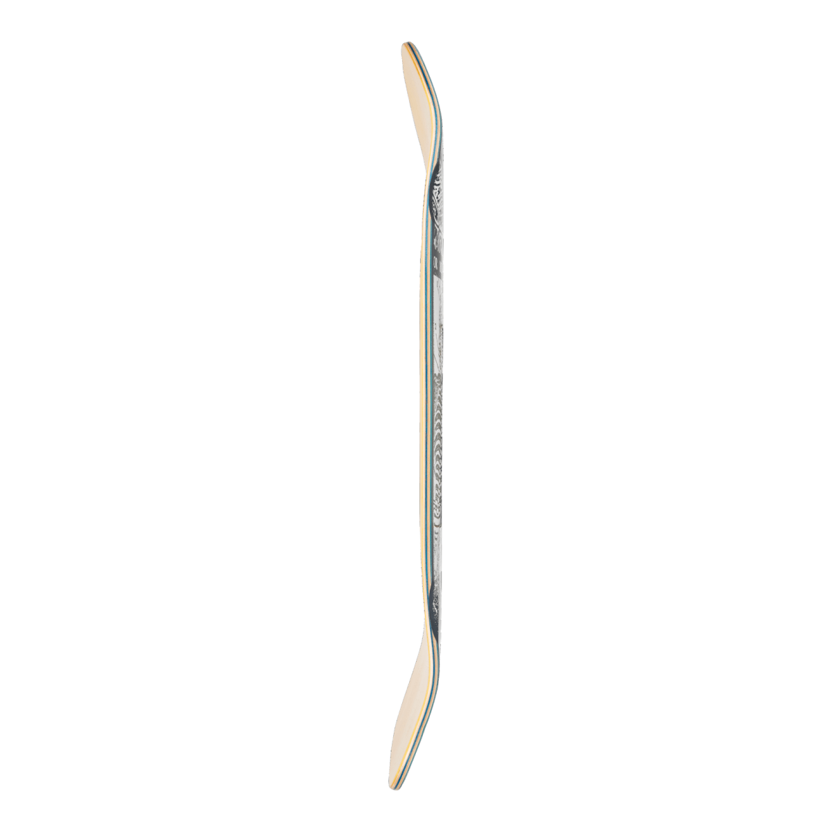 Arbor Ace Pelka Anatomy 9.75" Skateboard Deck - Skateboard - Decks