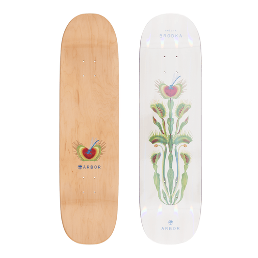 Arbor Amelia Brodka Venus 8.5" Skateboard Deck - Skateboard - Decks