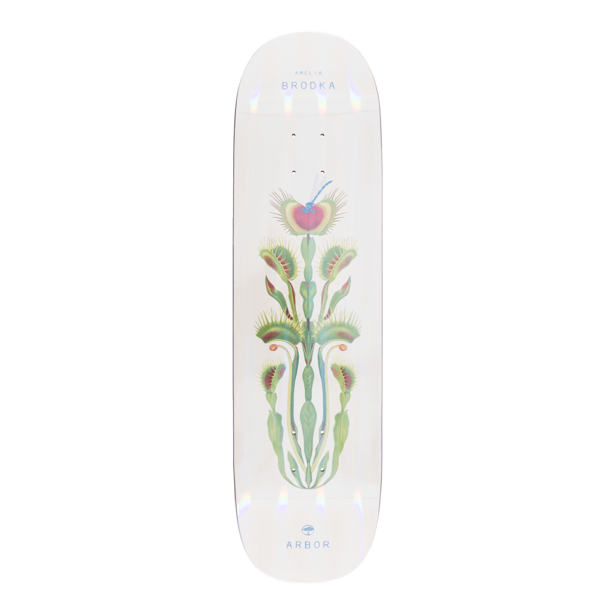 Arbor Amelia Brodka Venus 8.5" Skateboard Deck - Skateboard - Decks