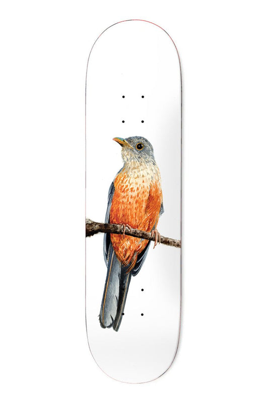 Deathwish Yuri Facchini 8.125" Laranjeira Skateboard Deck - Skateboard - Decks