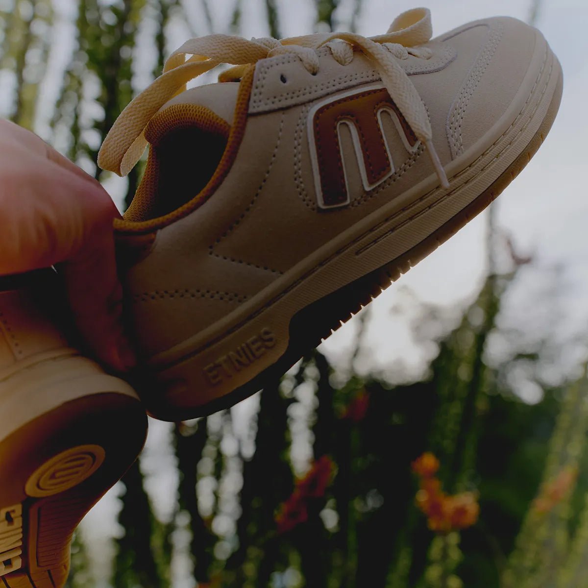 Etnies Locut W's X Kab - Tan - Shoes - Womens Shoes