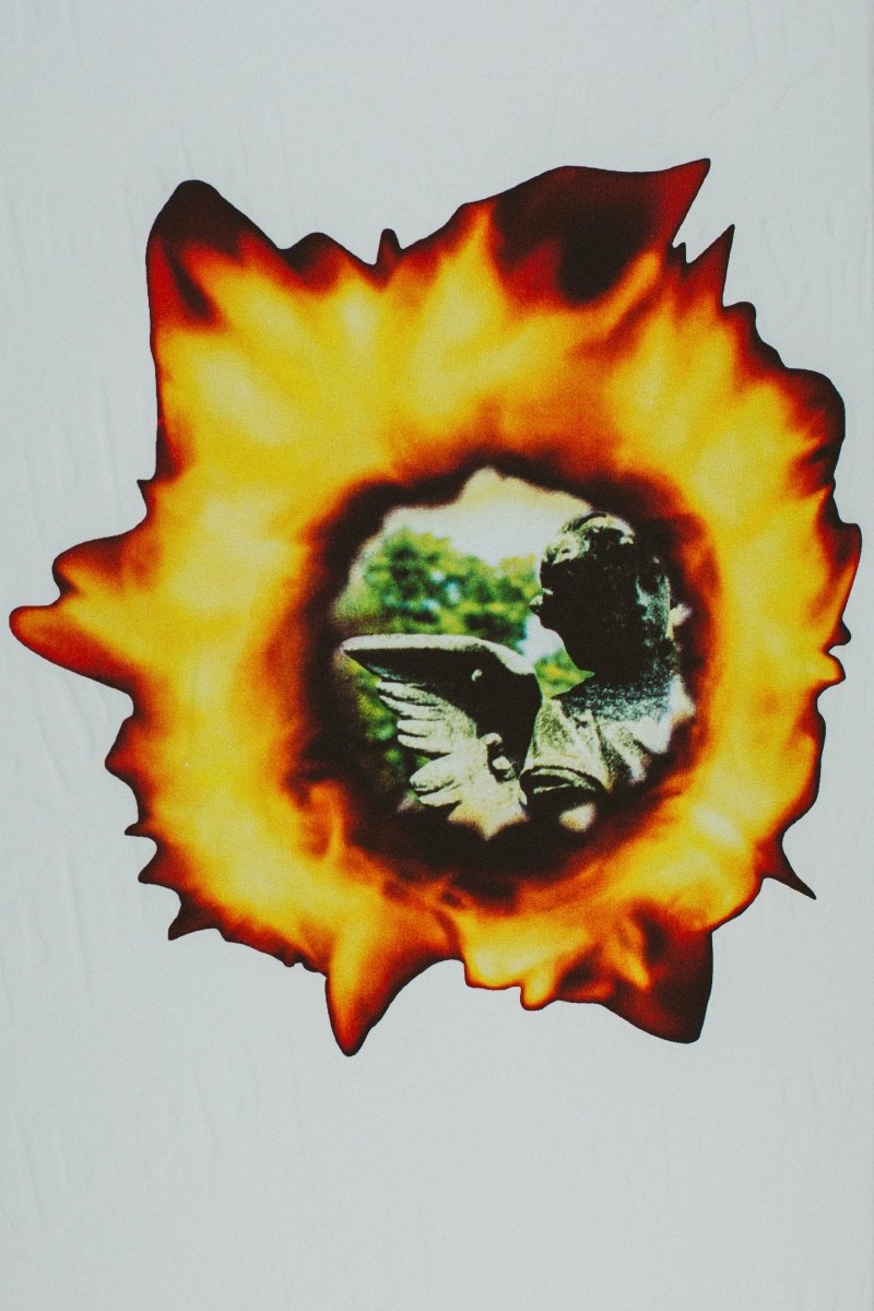 FA Angel Burn White 8.0" Deck - Skateboard - Decks