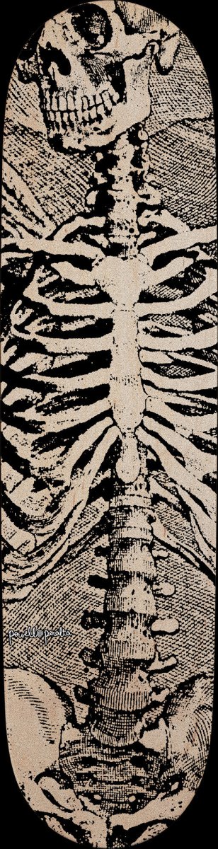 PWL/P GRIP SHEET 10.5x33 SAS Skeleton Clear - Skateboard - Griptape