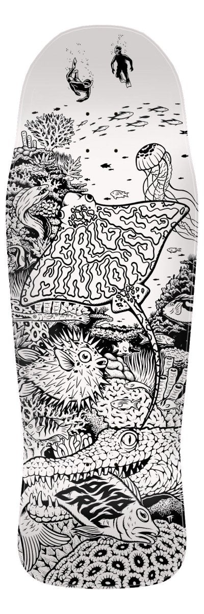 SC Winkowski Aquatic My Colorway Shaped 10.34" Deck - Skateboard - Decks