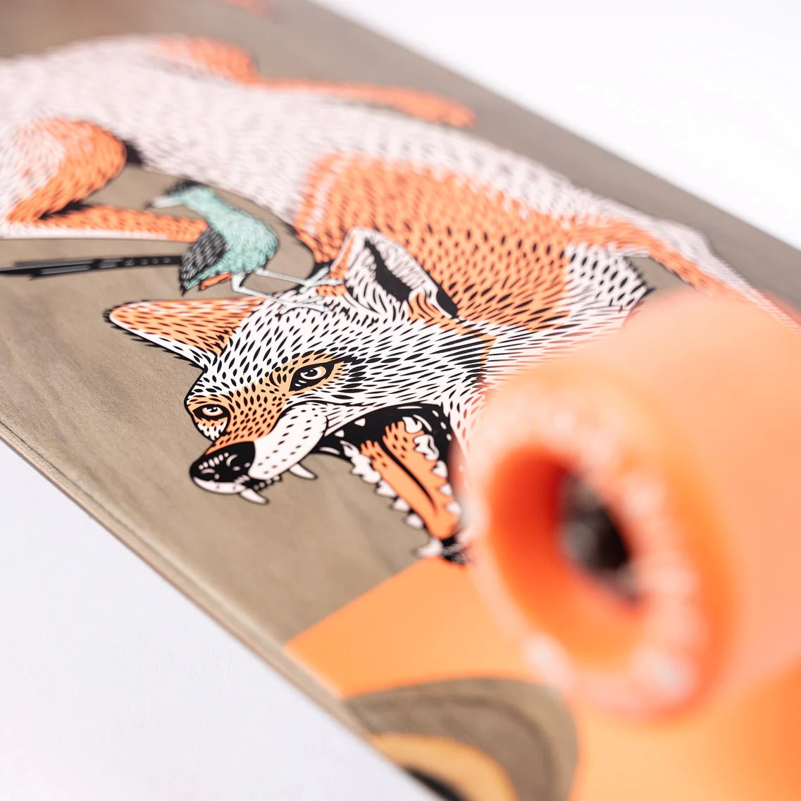 SEC9 Ditch Witch Coyote Complete 33" - Cruiser - Completes